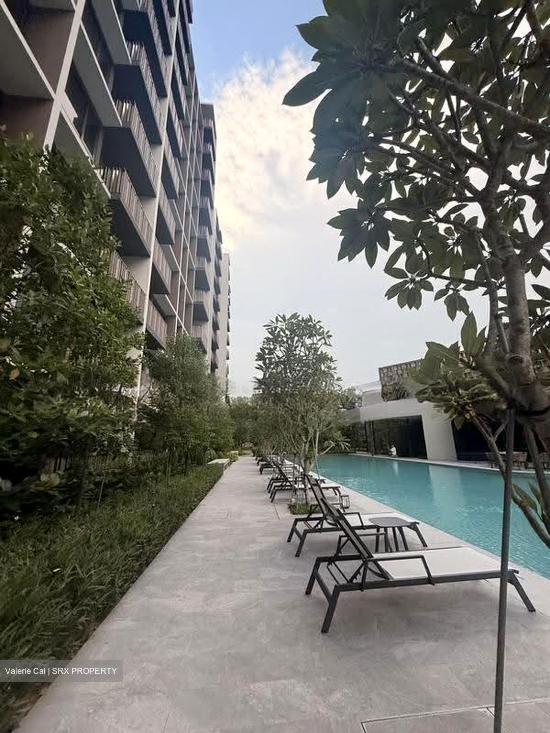 Norwood Grand (D25), Apartment #610911401